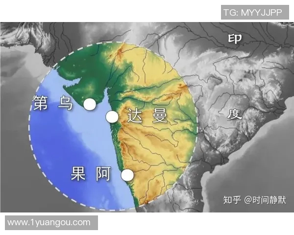 赖斯的外交智慧与全球局势的深刻影响探讨
